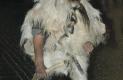 krampus-2005-029